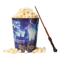 Harry Potter 25 years of magic